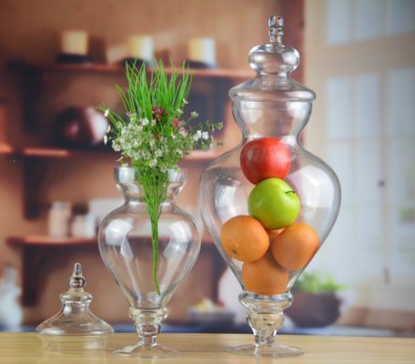 качество Стеклянный контейнер с крышкой для птиц завод