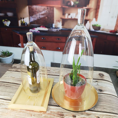 качество Прозрачный без свинца 21 дюймовый стеклянный купол Cloche завод